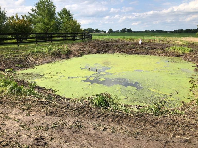 img 2783 optimized 1024x768